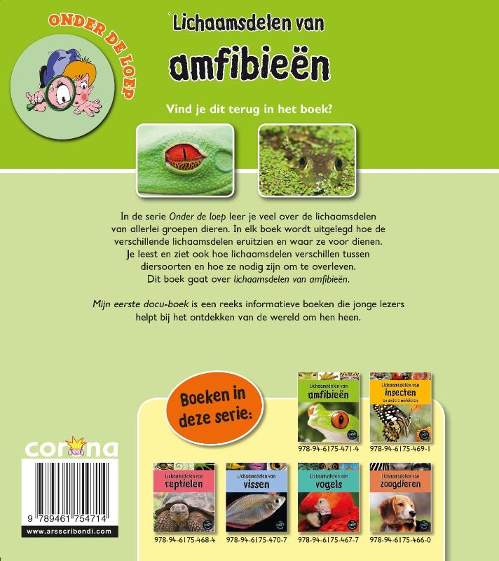 Achterkant van Lichaamsdelen van amfibieën