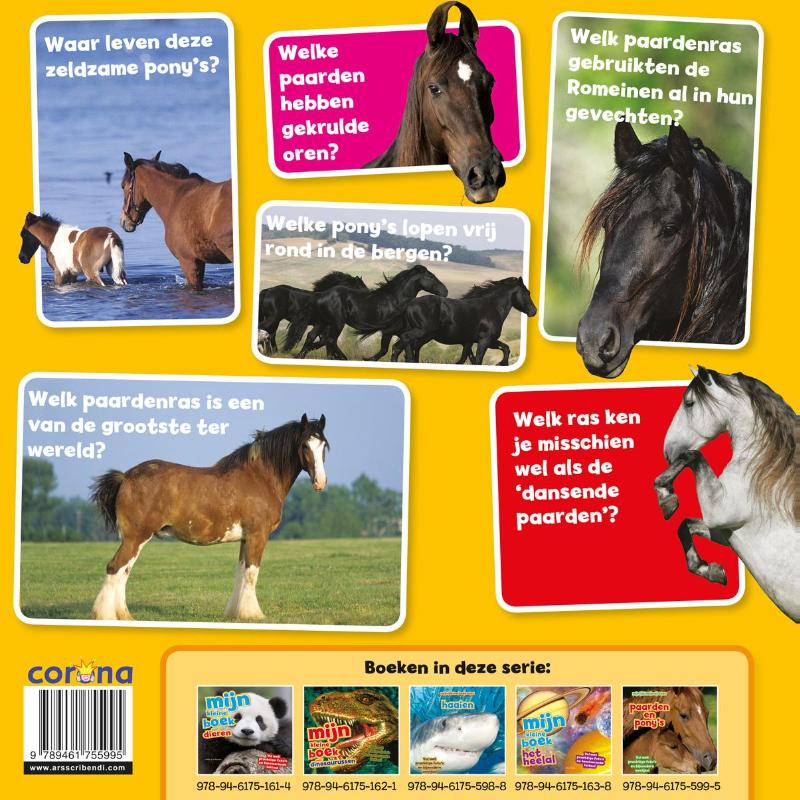Achterkant van Paarden en pony's