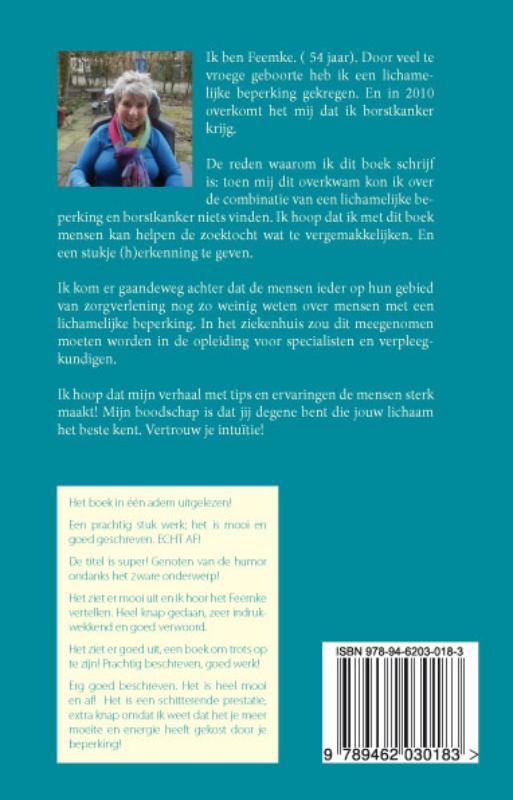 Achterkant van Mijn boek over Berend en Hendrik