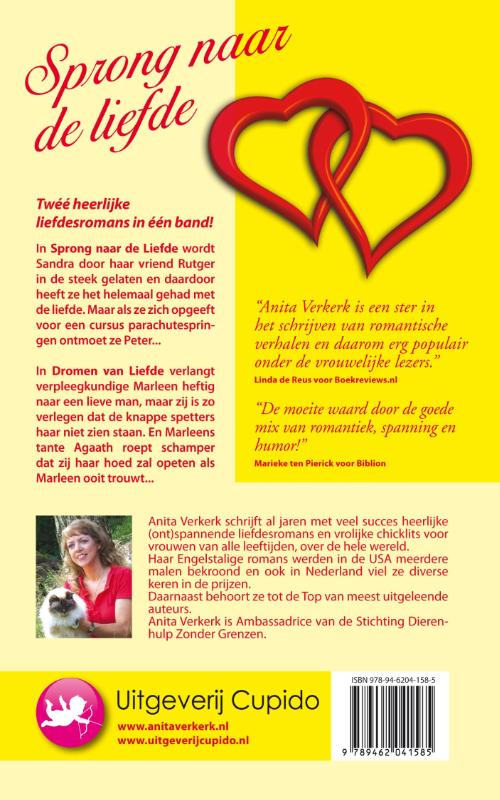 Achterkant van Sprong naar de liefde