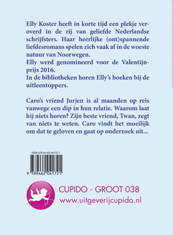 Achterkant van Winterromance
