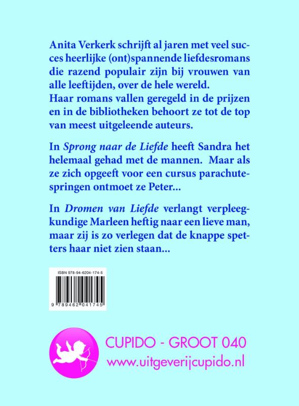 Achterkant van Sprong naar de liefde