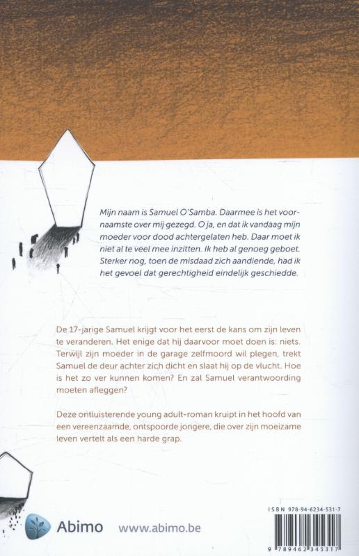 Achterkant van Zwerfsteen