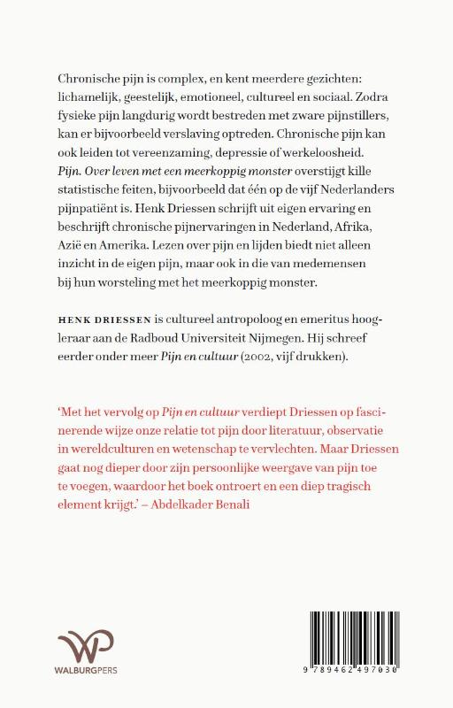 Achterkant van Pijn