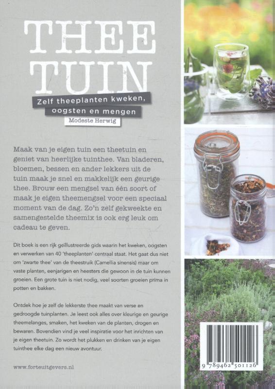 Achterkant van Theetuin