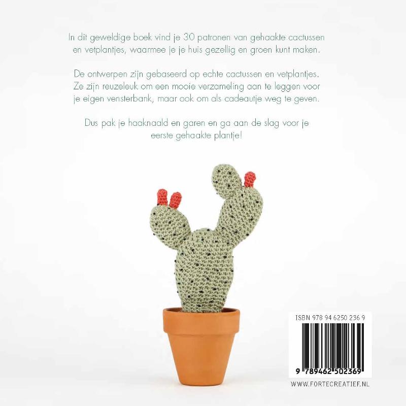 Achterkant van Cactussen haken