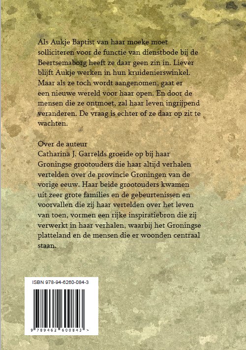 Achterkant van De dienstbode en de jonker