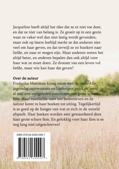 Achterkant van De lange weg naar huis