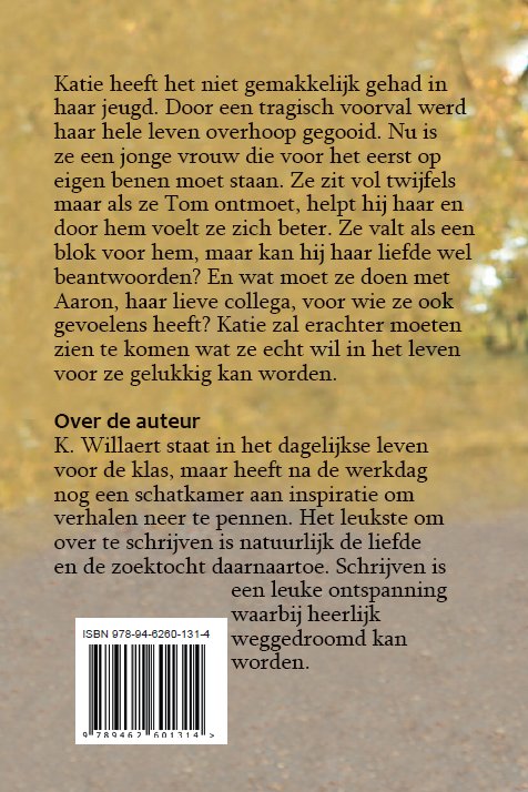 Achterkant van Alle obstakels overwonnen