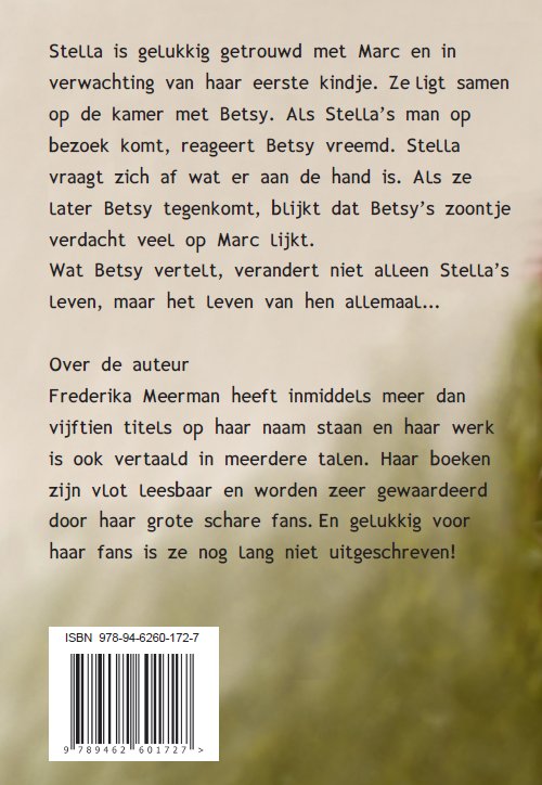 Achterkant van Verborgen geluk