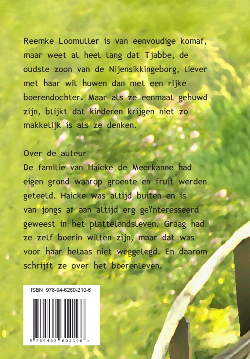 Achterkant van Tragiek en liefde voor Reemke