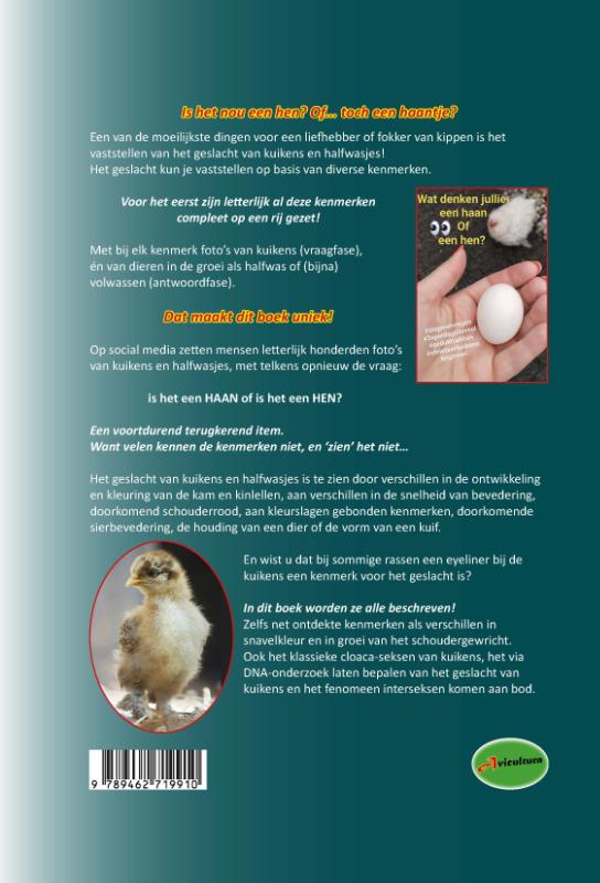 Achterkant van Kippen