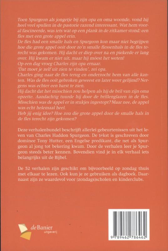 Achterkant van Hoe een spin het leven van een man redde