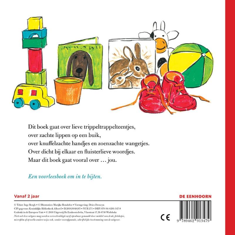 Achterkant van Dit boek gaat over jou