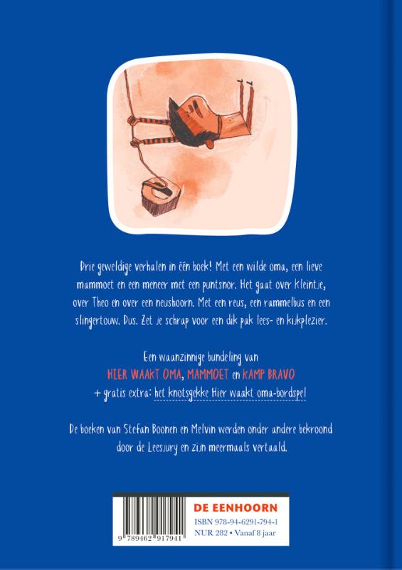 Achterkant van Hier waakt oma en andere verhalen