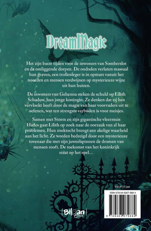 Achterkant van Dream Magic