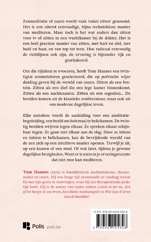 Achterkant van Als een Boeddha, als een uilskuiken