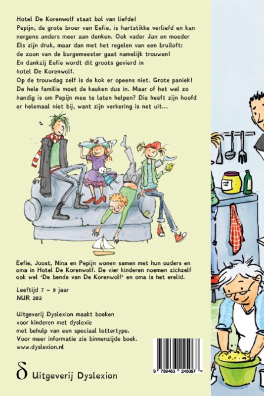 Achterkant van Het geheim van de verliefde hulpkok