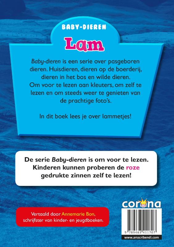 Achterkant van Lam