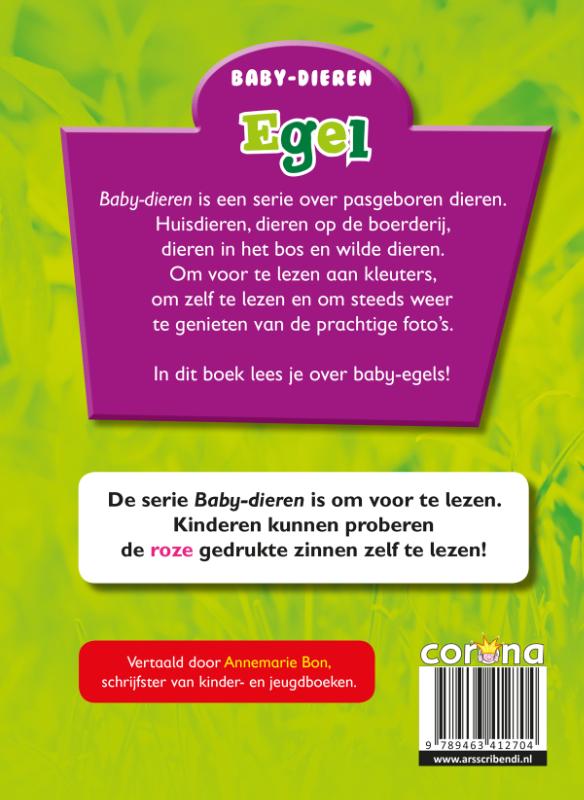 Achterkant van Egel