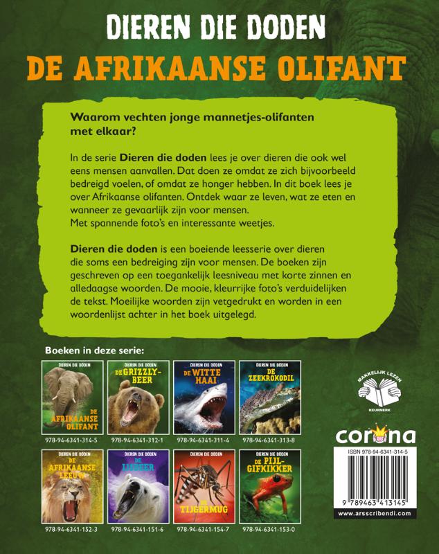 Achterkant van De Afrikaanse olifant