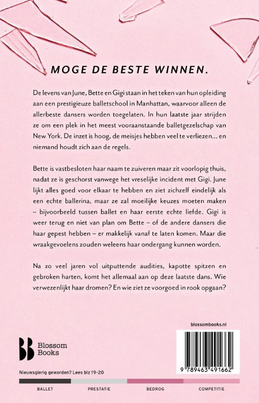 Achterkant van Shiny Broken Pieces