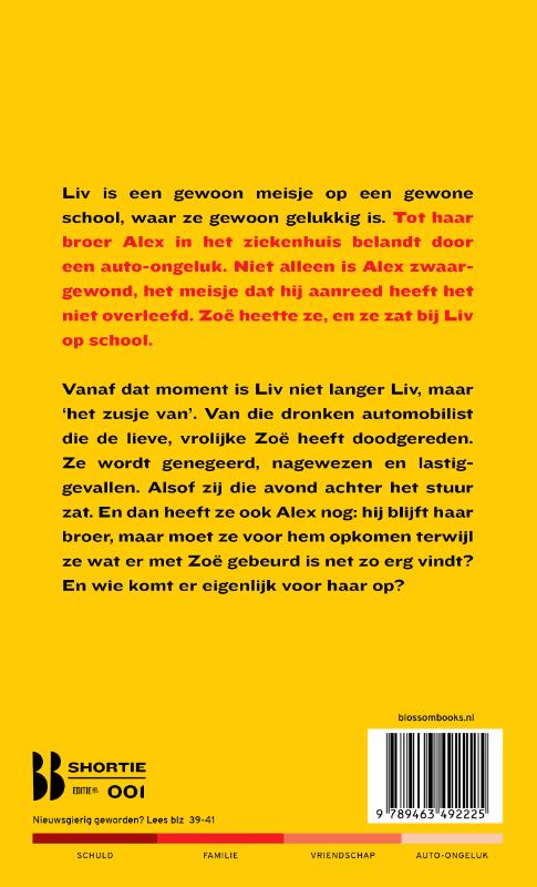 Achterkant van Het zusje van