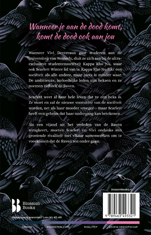 Achterkant van De Raven