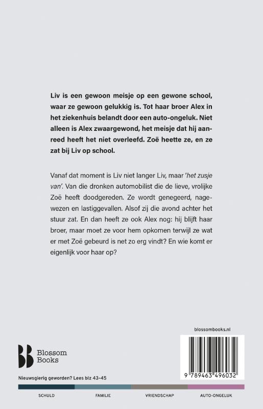Achterkant van Het zusje van