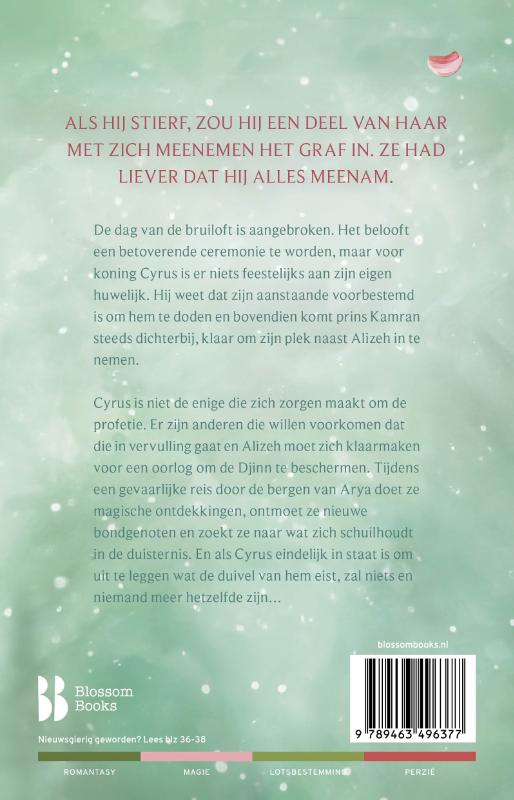 Achterkant van De bruid van Iblis