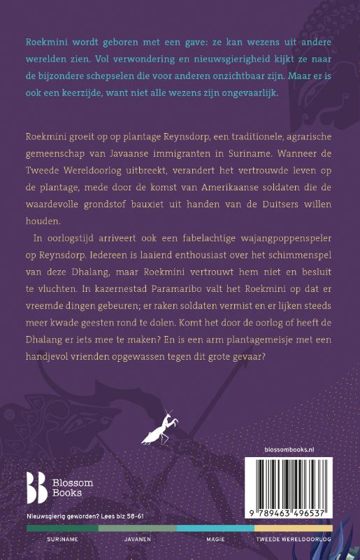 Achterkant van Schaduwtemmer