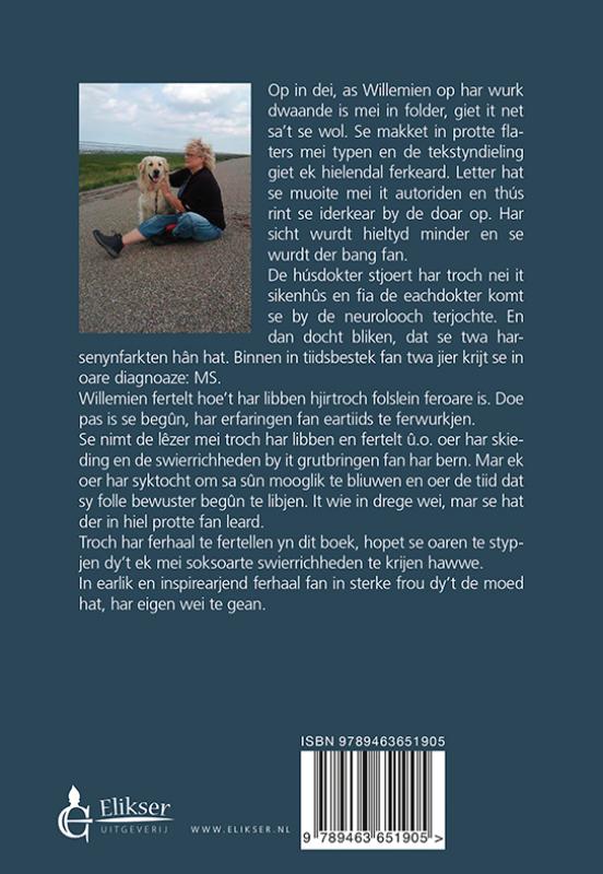 Achterkant van In oare wei