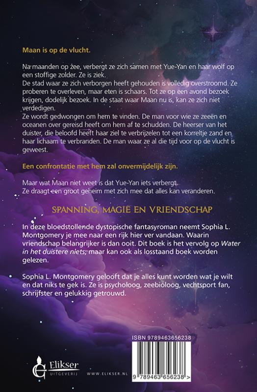 Achterkant van Golven in de Sterrennacht