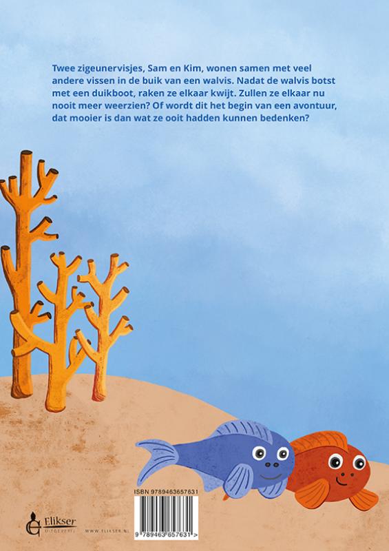 Achterkant van De zigeunervisjes