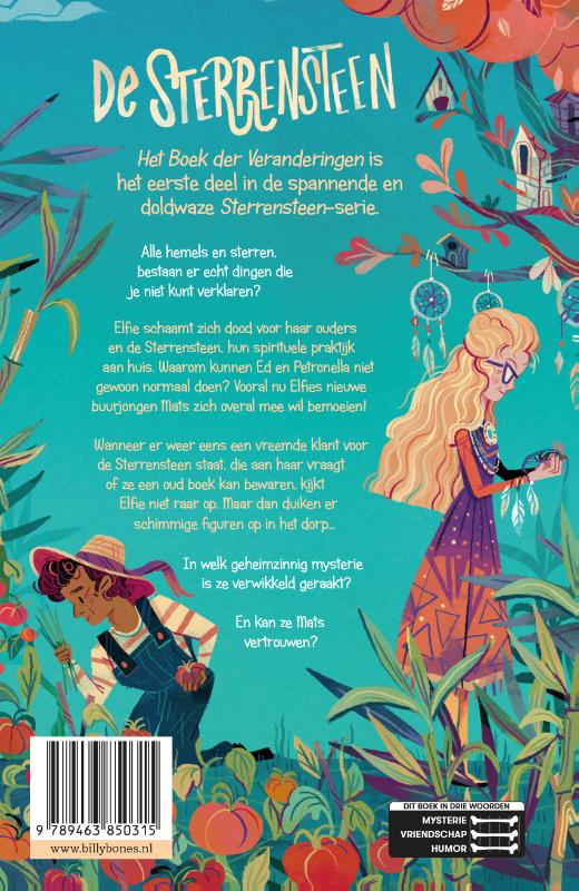Achterkant van Het Boek der Veranderingen
