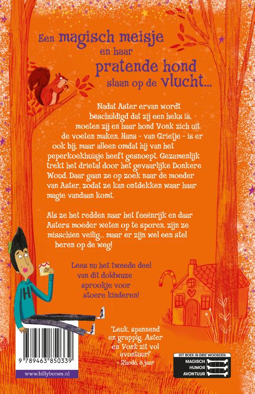 Achterkant van Feeën in het woud