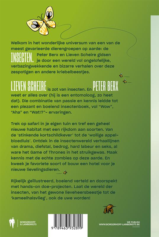 Achterkant van Insecten