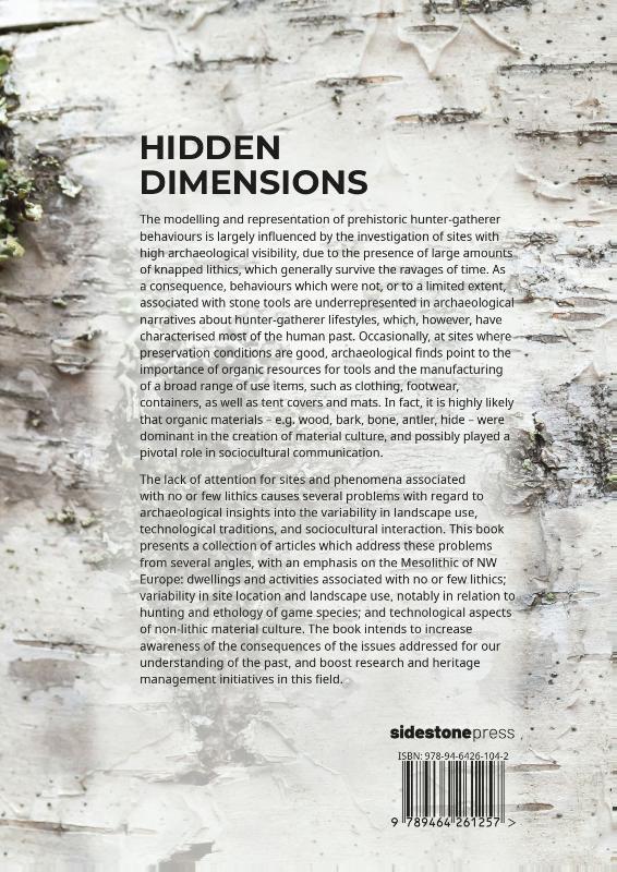 Achterkant van Hidden dimensions