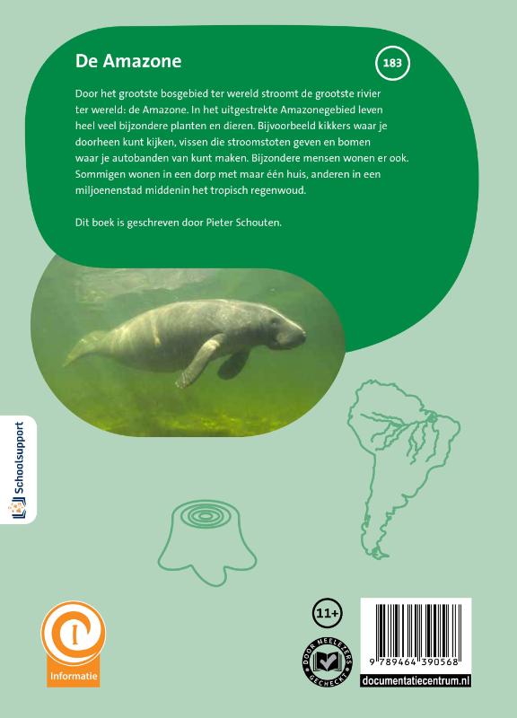 Achterkant van De Amazone