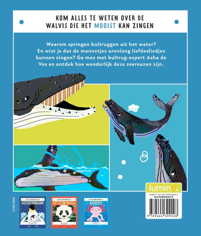 Achterkant van Bultrug