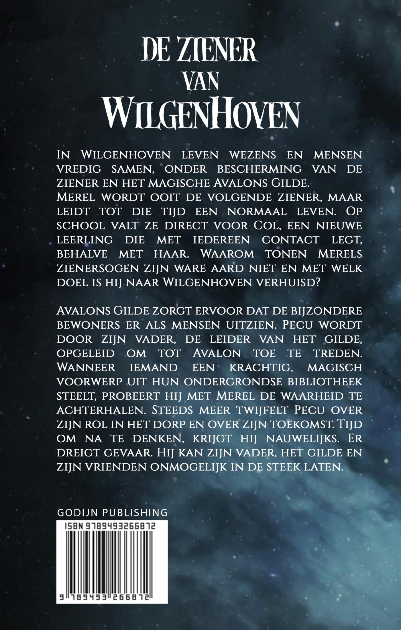 Achterkant van De Ziener van Wilgenhoven