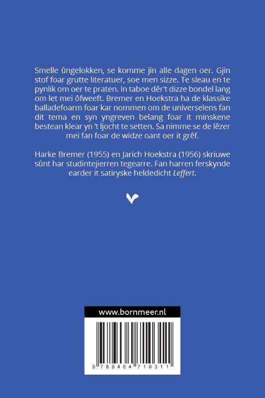 Achterkant van It smelle ûngelok