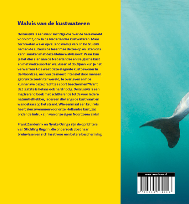 Achterkant van De bruinvis