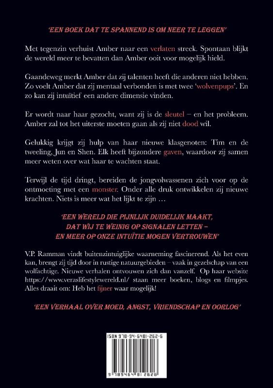 Achterkant van De Gelijkgestemden