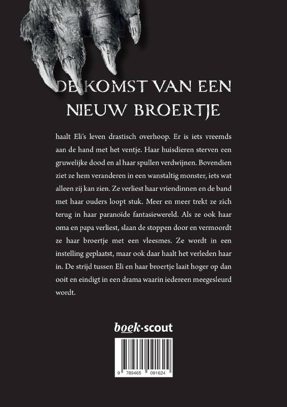 Achterkant van De Broertjesmoord