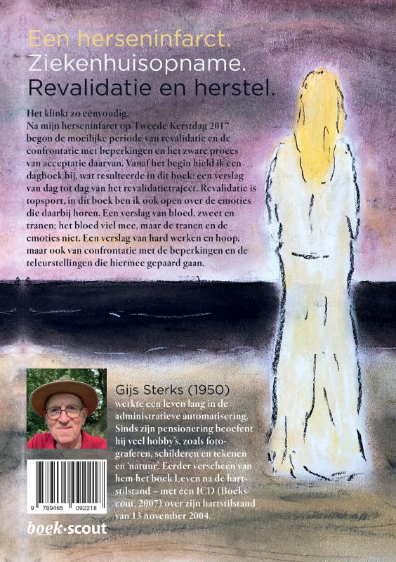 Achterkant van Leven na een herseninfarct