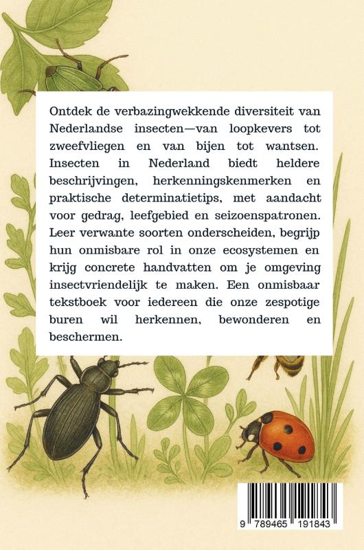 Achterkant van Insecten in Nederland
