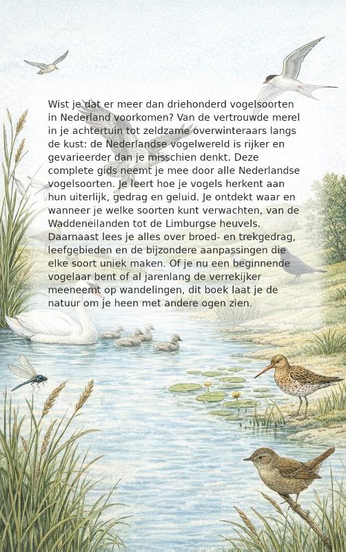 Achterkant van Vogels van nederland