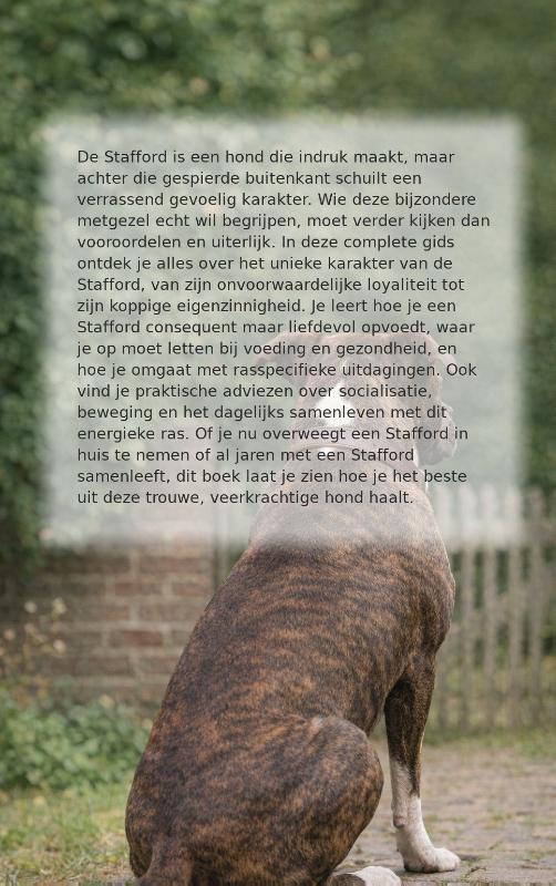 Achterkant van Alles over de Stafford