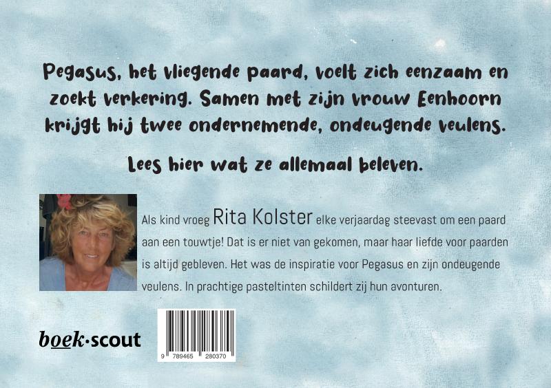 Achterkant van Pegasus
